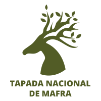 Tapada Nacional de Mafra