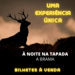 À noite na tapada – A Brama