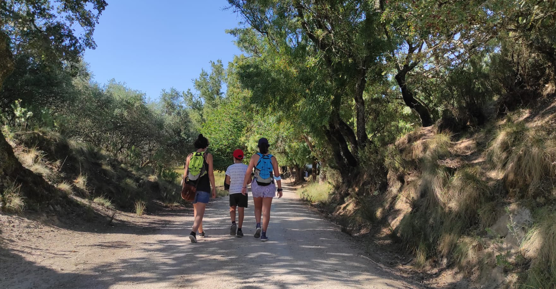 Caminhar na floresta