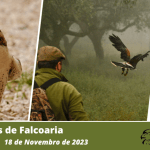 Crónicas de Falcoaria- Ecos do património, visões do amanhã.