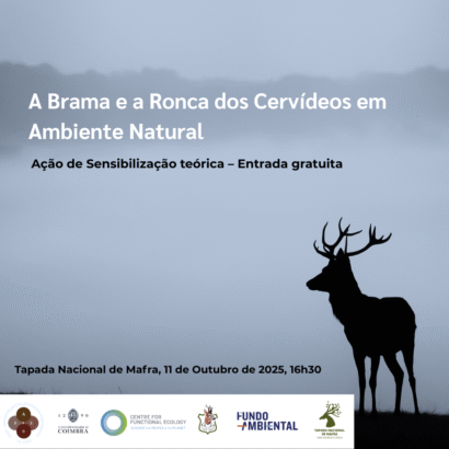 Ação de Sensibilização “A Brama e a Ronca dos Cervídeos em Ambiente Natural”