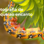 Workshop de Fotografia de iniciação - Do clique ao encanto