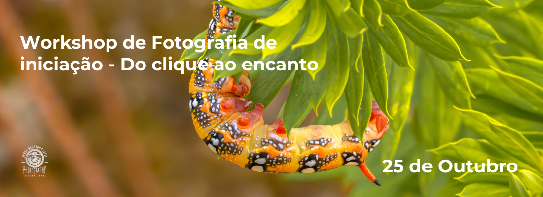 Workshop de Fotografia de iniciação - Do clique ao encanto
