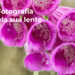 Workshop de Fotografia – A Primavera pela sua lente