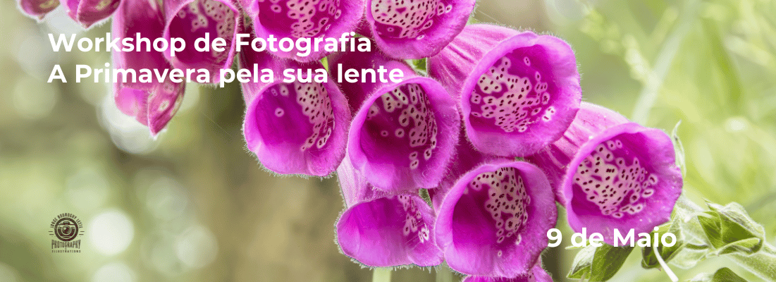 Workshop de Fotografia – A Primavera pela sua lente