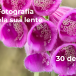 Workshop de Fotografia – A Primavera pela sua lente -Nova data