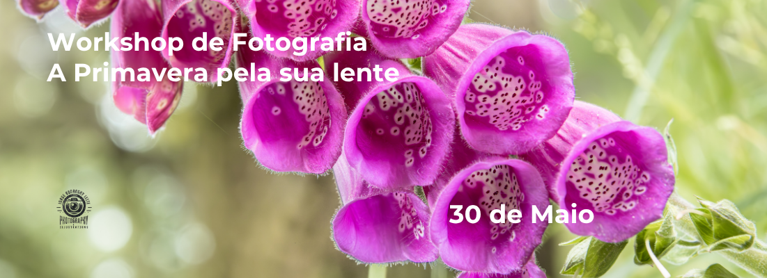 Workshop de Fotografia – A Primavera pela sua lente -Nova data