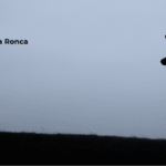 À noite na Tapada – A Brama e a Ronca